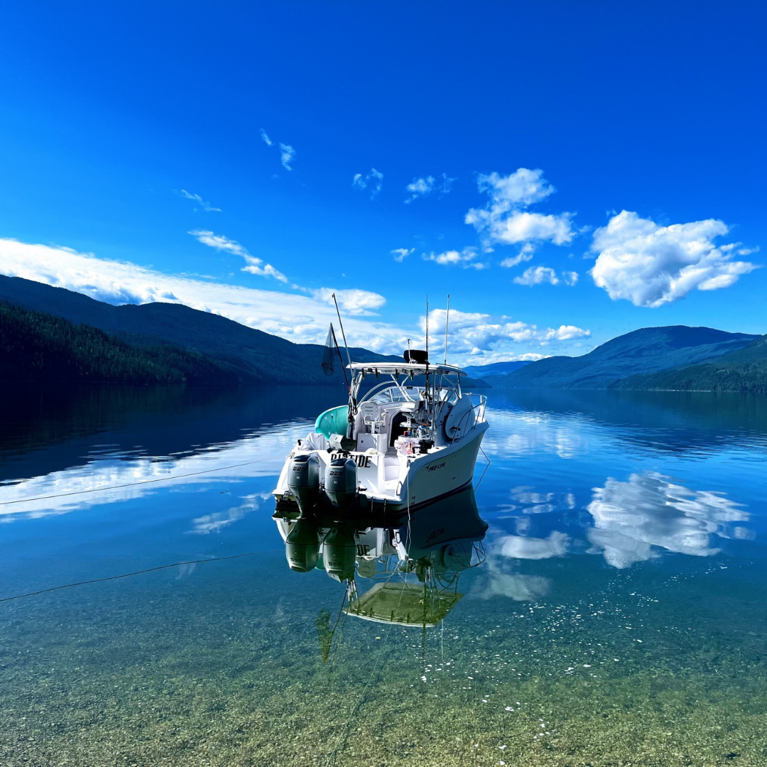 Calm Shuswap Lake near Shuswap Lakeview Properties